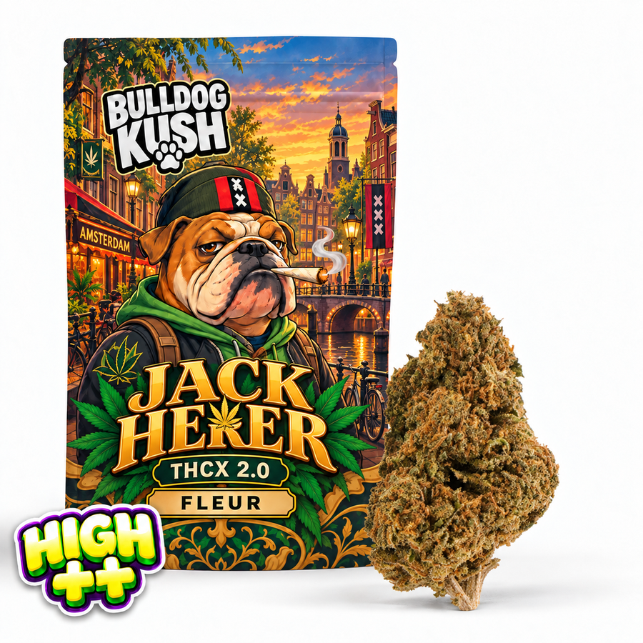 Jack Herer HHX 🌿