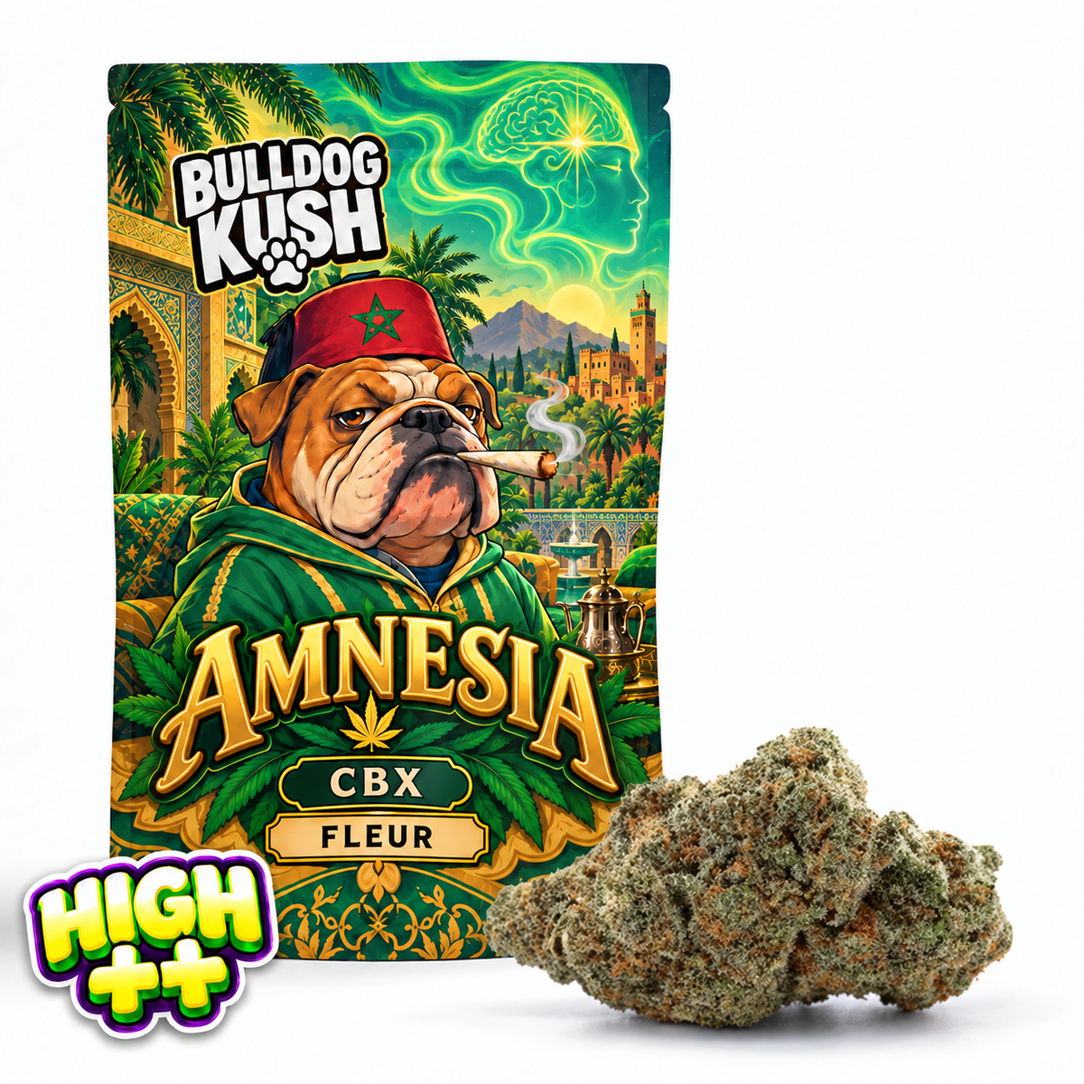 Amnesia TH9C 🧠