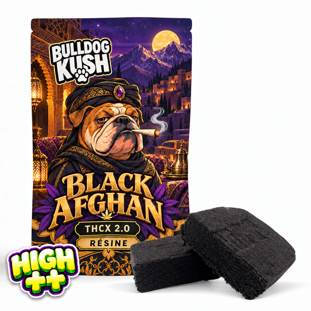 Black Afghan HHX 🇦🇫