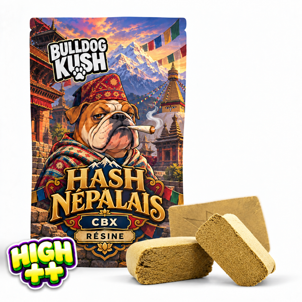 Hash Nepalí TH9C 🇳🇵
